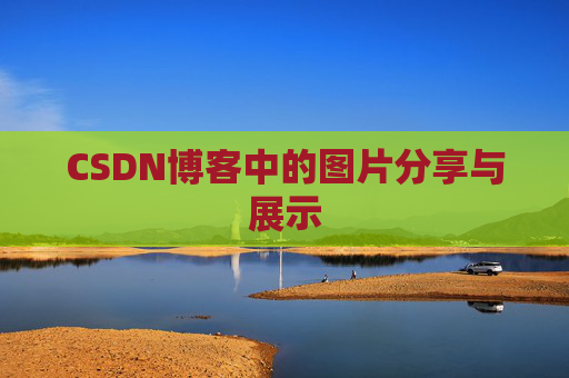 CSDN博客中的图片分享与展示